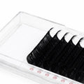 Cashmere Lash Trays